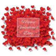 ヒメ日記 2026/02/14 01:30 投稿 藤崎涼香 五十路マダム 岐阜店