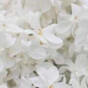 ヒメ日記 2026/03/02 20:20 投稿 藤崎涼香 五十路マダム 岐阜店