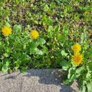 ヒメ日記 2026/03/10 19:28 投稿 藤崎涼香 五十路マダム 岐阜店