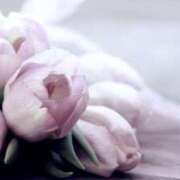 ヒメ日記 2026/03/31 01:12 投稿 藤崎涼香 五十路マダム 岐阜店