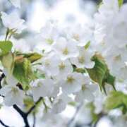 ヒメ日記 2026/04/04 17:04 投稿 藤崎涼香 五十路マダム 岐阜店