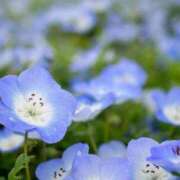 ヒメ日記 2026/04/17 20:20 投稿 藤崎涼香 五十路マダム 岐阜店