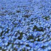 ヒメ日記 2026/04/17 21:12 投稿 藤崎涼香 五十路マダム 岐阜店