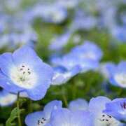 ヒメ日記 2026/04/24 00:46 投稿 藤崎涼香 五十路マダム 岐阜店