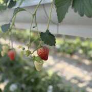 るう ひさしぶりに！！ かりんと池袋