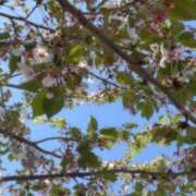 ヒメ日記 2026/04/15 21:02 投稿 リル 西川口ハートショコラ（シンデレラグループ）