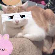 ヒメ日記 2026/04/21 12:06 投稿 リル 西川口ハートショコラ（シンデレラグループ）