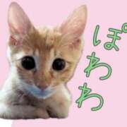ヒメ日記 2026/10/20 12:06 投稿 リル 西川口ハートショコラ（シンデレラグループ）