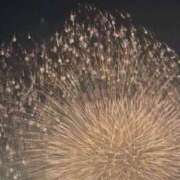 ヒメ日記 2026/08/16 19:17 投稿 あんず TALENT（タレント）