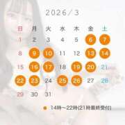 ヒメ日記 2026/02/24 11:06 投稿 まい ニュー不夜城