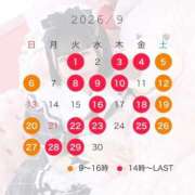 ヒメ日記 2026/08/19 12:18 投稿 まい ニュー不夜城