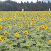 ヒメ日記 2026/06/30 09:01 投稿 なつ　業界未経験 CHARMANT（シャルマン）
