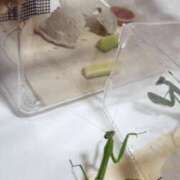 ヒメ日記 2026/02/02 02:00 投稿 たかこ 妻天 京橋店