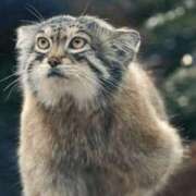 ヒメ日記 2026/02/02 19:43 投稿 たかこ 妻天 京橋店