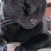 ヒメ日記 2026/02/04 18:17 投稿 たかこ 妻天 京橋店