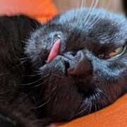 ヒメ日記 2026/02/04 21:29 投稿 たかこ 妻天 京橋店