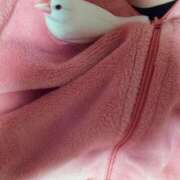 ヒメ日記 2026/02/06 03:08 投稿 たかこ 妻天 京橋店