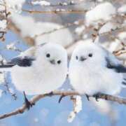 ヒメ日記 2026/02/10 02:55 投稿 たかこ 妻天 京橋店