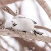 ヒメ日記 2026/02/12 13:53 投稿 たかこ 妻天 京橋店