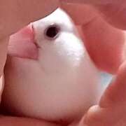 ヒメ日記 2026/02/17 01:55 投稿 たかこ 妻天 京橋店