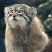 ヒメ日記 2026/02/20 01:45 投稿 たかこ 妻天 京橋店