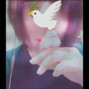 ヒメ日記 2026/02/20 19:41 投稿 たかこ 妻天 京橋店