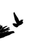 ヒメ日記 2026/02/21 01:03 投稿 たかこ 妻天 京橋店