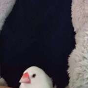 ヒメ日記 2026/02/21 03:58 投稿 たかこ 妻天 京橋店