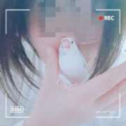 ヒメ日記 2026/02/28 01:10 投稿 たかこ 妻天 京橋店