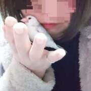 ヒメ日記 2026/03/08 03:13 投稿 たかこ 妻天 京橋店