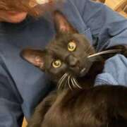 ヒメ日記 2026/02/14 12:28 投稿 るな 東京メンズボディクリニック TMBC 池袋店