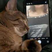 増田 沙織 お相手して下さったお兄さまに感謝です♪ こあくまな熟女たち三河店（KOAKUMAグループ）