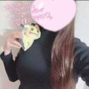 ヒメ日記 2026/01/31 21:59 投稿 めい アラモード