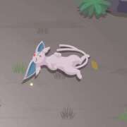 ヒメ日記 2026/02/06 10:16 投稿 めい アラモード