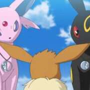 めい 完売！感謝！ アラモード