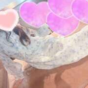 めい ありがとうございます アラモード