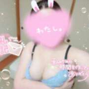 ヒメ日記 2026/01/22 16:54 投稿 月村　ゆゆ ノーパンパンスト スケベなOL梅田・兎我野店