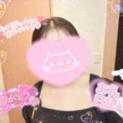 ヒメ日記 2026/02/13 15:15 投稿 月村　ゆゆ ノーパンパンスト スケベなOL梅田・兎我野店