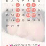 ヒメ日記 2026/02/21 19:34 投稿 Ouka LUXURY（ラグジュアリー）