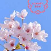 Ouka 3月の出勤日、全て満枠です🙇🏻‍♀️‪‪🈵💓‪ LUXURY（ラグジュアリー）