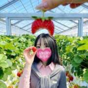 ヒメ日記 2026/04/22 20:17 投稿 Ouka LUXURY（ラグジュアリー）