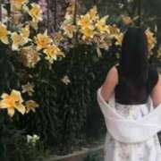 ヒメ日記 2026/02/25 21:16 投稿 はな プロフィール天王寺