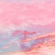 ヒメ日記 2026/01/26 18:02 投稿 ゆうか Second Love（セカンドラブ）