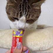 ゆうか 次回の出勤 Second Love（セカンドラブ）