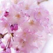 ヒメ日記 2026/03/17 18:39 投稿 ゆうか Second Love（セカンドラブ）