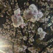 ゆうか お疲れ様です〜 Second Love（セカンドラブ）