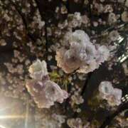 ヒメ日記 2026/04/20 13:58 投稿 ゆうか Second Love（セカンドラブ）