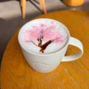 ヒメ日記 2026/03/16 19:34 投稿 新藤ゆみ 若奥サマンサ（横浜ハレ系）