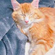 ヒメ日記 2026/01/26 02:52 投稿 むむ 君とふわふわプリンセスin熊谷