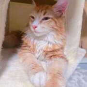 ヒメ日記 2026/02/23 23:31 投稿 むむ 君とふわふわプリンセスin熊谷